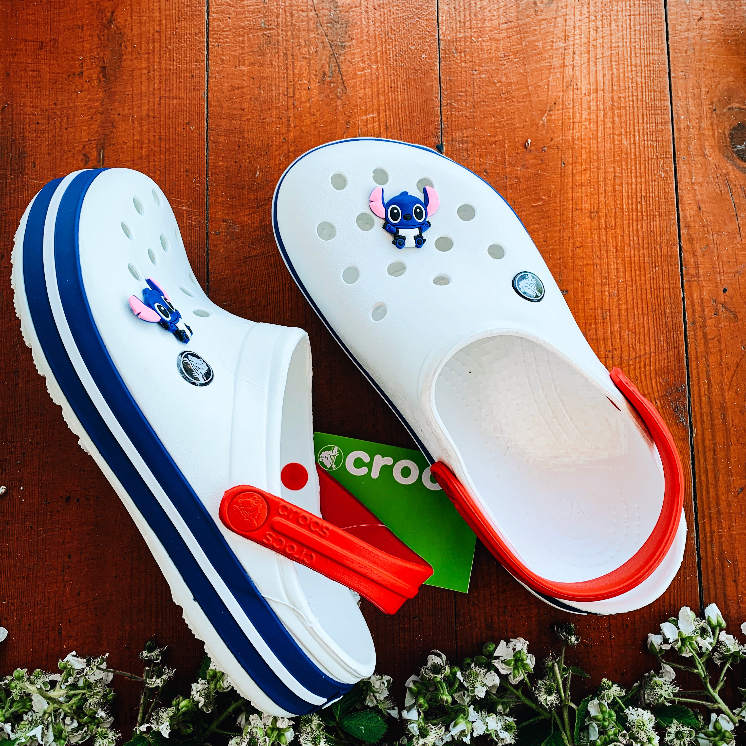 Жіночі Crocs "Crocband Clog" 